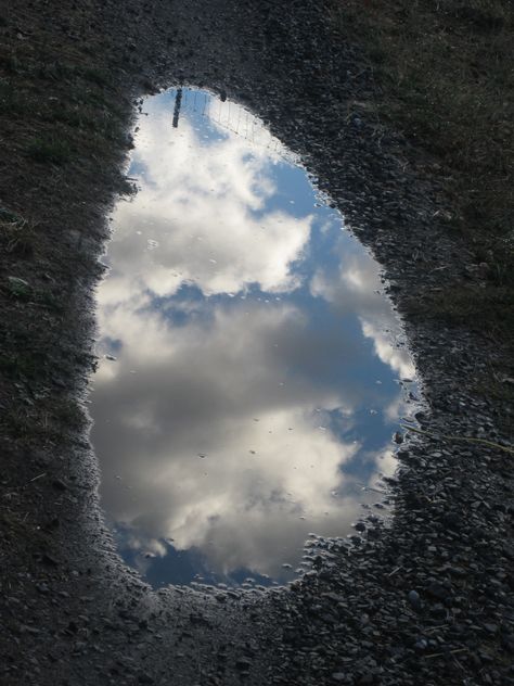 Walking to the pond, the sky is reflected in a rain puddle and I pause. Photos Of Reflection, Water Jet Texture, Puddle Reflection Photography, Sky Reflection On Water, Water Reflection Photography, Puddle Reflection, Rain Puddle, Pond Reflection, Touch Designer