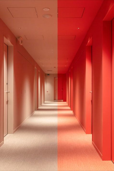 Colour Block Room, Communal Bedroom, Hotel Corridors, Interior Door Color, Colorful Minimalism, Hotel Bedrooms, Bold Minimalism, Vibrant Interior, Hotel Corridor