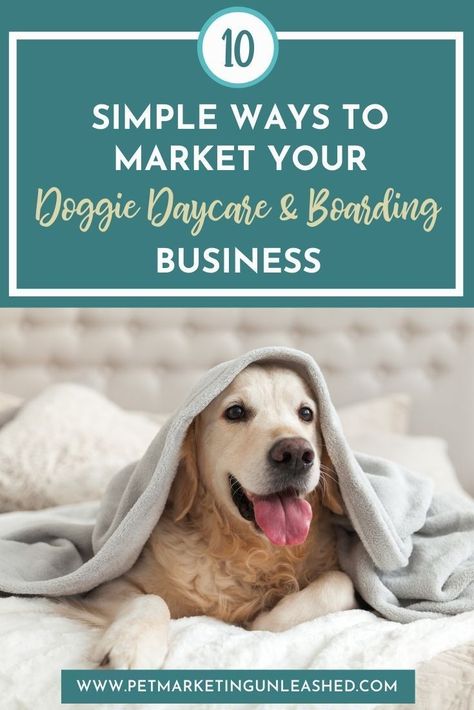 If you’re the owner of a doggie daycare or pet boarding business, you’re probably aware that marketing plays an essential role in growing your business. Not only can it be affordable, but it can have a positive effect on your business too. Let’s cover some of the best ways, in my opinion, that you can start marketing your doggie daycare and boarding business online (with very little effort!): Dog Boarding Facility Ideas At Home, Advertising Ideas Marketing, Kennel Business, Dog Daycare Business, Indoor Dog Park, Dog Boarding Facility, Pet Care Business, Pet Market, Doggie Daycare