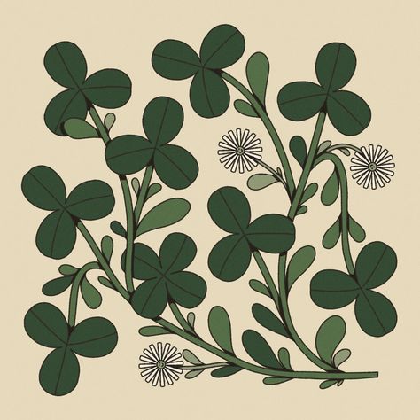 Good luck finding your luck🍀 . . . #illustration #digitalillustration #flowerdrawing #flower #drawing #botanical #floral #clover #luck 4 Leaf Clover Design, Clover Illustrations, Luck Illustration, Business Card Logo Design, White Clover, Bold Flowers, Cute Wallpapers For Ipad, Flower Illustrations, Leaves Illustration