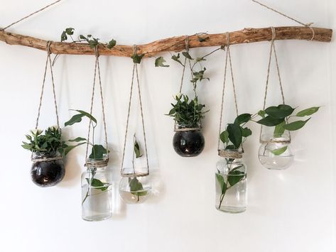 Wall Planter Decor, Wall Planter Ideas, Propagation Wall, Aesthetic Decor Ideas, Mason Jar Herb Garden, Planter Decor, Wall Plant Hanger, Plants In Bottles, Vintage Room Decor