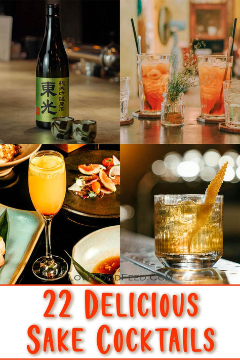 Shake up your cocktail game with 22 delicious sake cocktail recipes. From refreshing spritzers to bold blends, there's a drink for every taste! Cocktails With Saki, Sake Mixed Drinks, Sake Cocktail Recipes, Sake Martini, Sake Drinks, Sake Cocktails, Japanese Cocktails, Sake Cocktail, Japanese Party