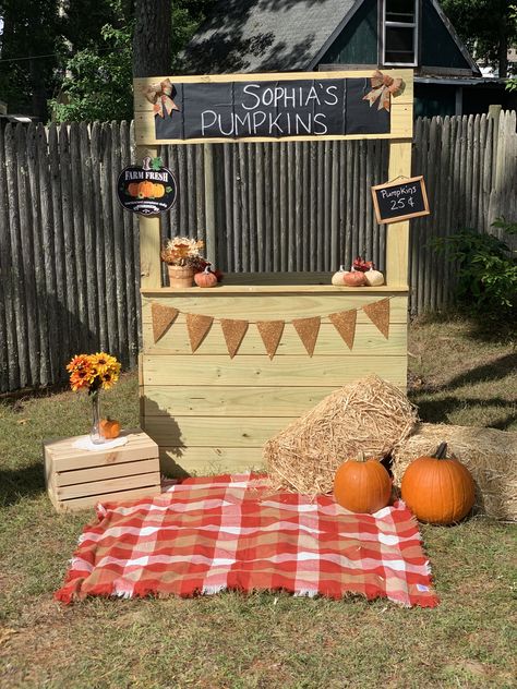 Pumpkin Stand Photoshoot, Pumpkin Stand Mini Session, Pumpkin Stand Ideas, Selling Stand, Fall Photo Booth, School Fall Festival, Fall Photo Props, Birthday Pumpkin, Halloween Pumpkin Diy