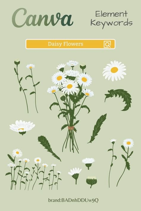 Daisy Flower Illustration, Elements In Canva, Canva Keywords, Flower Elements, Presentation Slides Design, Graphic Shapes Design, Keyword Elements Canva, Canva Tips, Graphic Design Infographic