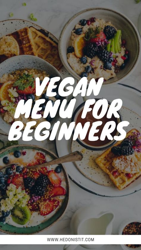 Easy vegan recipes for beginners - 1 Day meal plan for breakfast, lunch and dinner Easy Vegan Recipes For Beginners, Vegan Recipes For Beginners, Day Meal Plan, Easy Vegan Recipes, Vegan Recipes Beginner, Pantry Ingredients, Vegan Menu, Vegan Meal Plans, Vegan Meal Prep