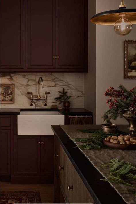 Sultry Kitchen, Moody Kitchen Color Palettes, Aesthetic Kitchen Sink, Minimalist Kitchen Dark, Kitchen Aesthetic Dark, Dark Cozy Kitchen, Maroon Cabinets, Dark Red Kitchen Cabinets, Plum Kitchen Cabinets