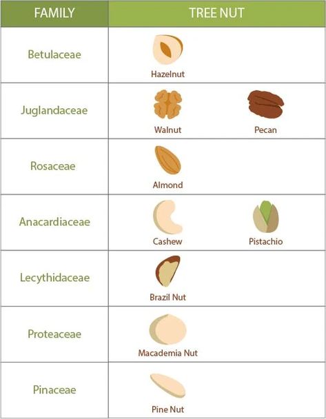 Understanding Tree Nuts – Lil Mixins Pine Nut Tree, Cashew Allergy, Coconut Allergy, Tree Nut Allergy, Common Food Allergies, Nut Allergy, Food Allergies Awareness, Fruit Bearing Trees, Allergy Awareness