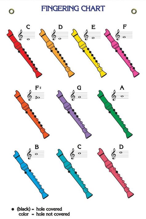 Recorder Songs, Music Basics, Music Theory Piano, Beginner Piano Music, Music Theory Lessons, Music Teaching Resources, Piano Music Lessons, Music Camp, Homeschool Music