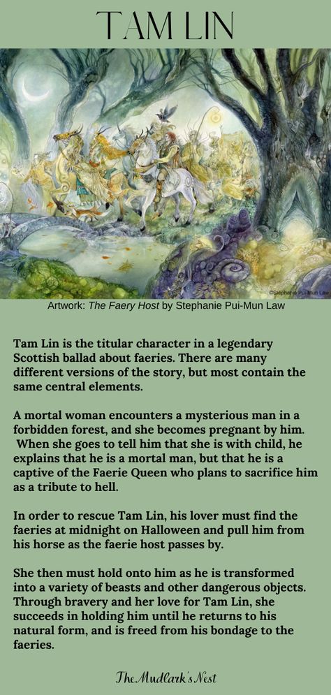 Tam Lin is an old fairy ballad from the borderlands of Scotland. #tamlin #balladoftamlin #scottishballads #fairyballads #fairysongs #themudarksnest Fairies Mythology, Fairy Quotes, Tam Lin, Forbidden Forest, Magical Beings, Celtic Mythology, Just A Dream, Red Riding Hood, The Court