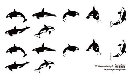 Orca Tattoo Design, Orca Whale Tattoo, Killer Whale Tattoo, Hai Tattoo, Orca Design, Orca Art, Orca Tattoo, Whale Tattoo, Tatuagem Masculina Pequena