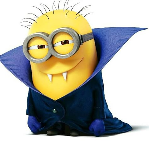 Minion Vampire Halloween Minions, Vampire Minion, Halloween Minion, Minions Halloween, Minions Cute, Minion Photos, Minion Stickers, Minions Images, Minion Halloween