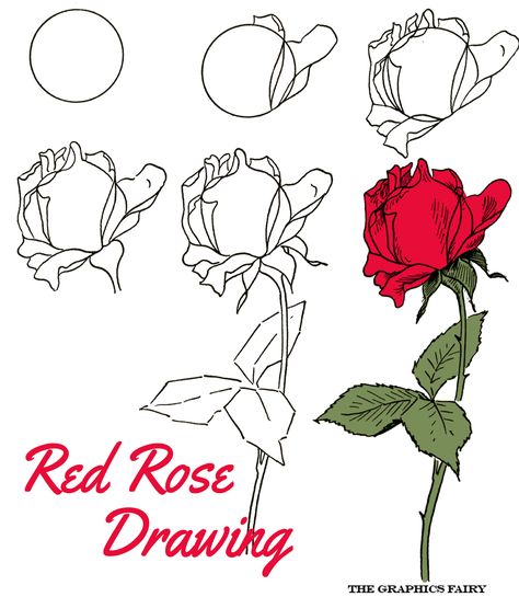 Create a beautiful Red Rose Drawing with 6 easy steps! Once you learn How to Draw a Red Rose, you'll want to make them in other colors! Beautiful Rose Drawing, Red Rose Drawing, Flower Pot Drawing, Pot Drawing, Drawings With Meaning, Cartoon Rose, Rose Outline, Rose Sketch, Rose Illustration