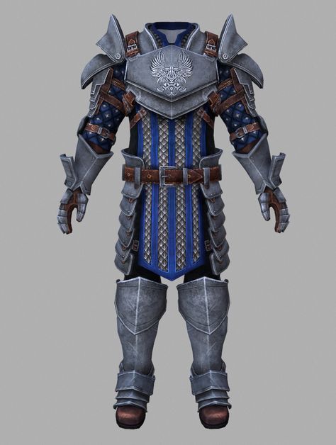 Grey Warden Armor, Warden Armor, Dragon Age Grey Warden, Grey Warden, Nike Gear, Dragon Age Origins, Human Anatomy Art, My Fantasy World, Red Moon