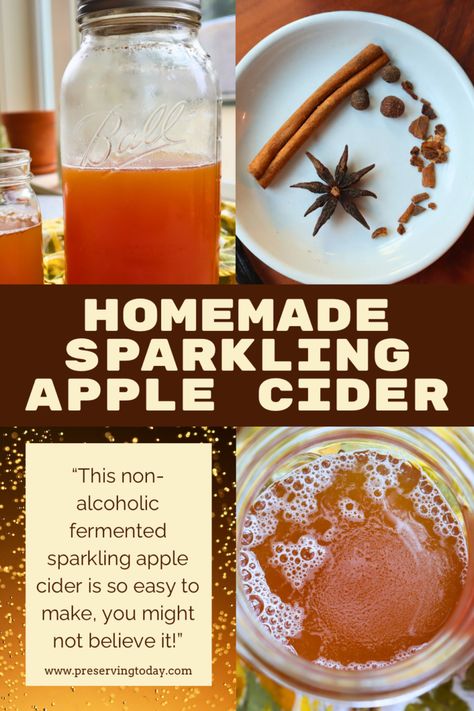 Homemade Sparkling Cider, Diy Sparkling Apple Cider, Sparkling Apple Cider Non Alcoholic, Processing Apples, Hard Apple Cider Recipe, Apple Cider Ingredients, Fermented Recipes, Sparkling Apple Cider, Fermented Drinks