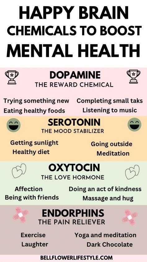 4 Happy Brain Chemicals You need to know for Better Mental Health Happy Brain, Brain Chemicals, Longevity Diet, Brain Surgeon, Brain Facts, Better Mental Health, Healthy Activities, Happy Hormones, Emotional Awareness