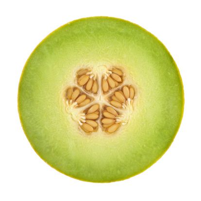 Stock Photo : Honeydew Melon Cross Section On White Avocado Health Benefits, Fruit Icons, Food Png, Honeydew Melon, Cucumber Recipes, Fruit Slice, Hot Flashes, Cross Section, Fruit Art