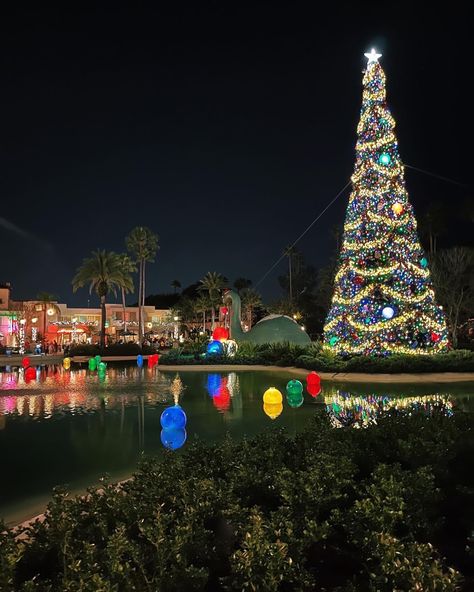 Hollywood Studios Christmas, Disneyworld Aesthetic, Disneyland World, Disney World Christmas, Christmas Pics, Hollywood Studios, Disney Christmas, Christmas Aesthetic, Christmas Pictures