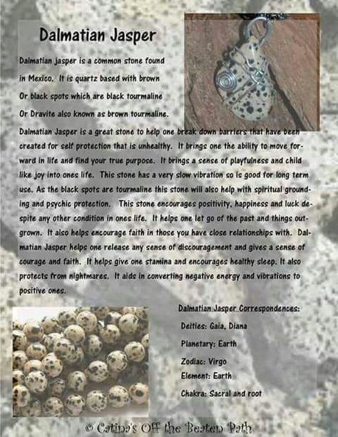 Dalmatian Crystal, Gemsona Ideas, Healing Ideas, Wicca Spells, Spiritual Items, Dalmatian Stone, Crystal Power, Crystal Guide, Gemstone Properties