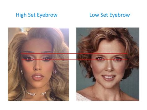 Why is a high set eyebrow more attractive than a low set among females? - PinkMirror Blog Hi Low Brows, High Eyebrows Makeup, High Eyebrows Arch, Round Arch Eyebrows, Soft Features Face Makeup, Makeup For Low Eyebrows, Low Brow Makeup, High Vs Low Cheekbones, Upward Eyebrows Shape