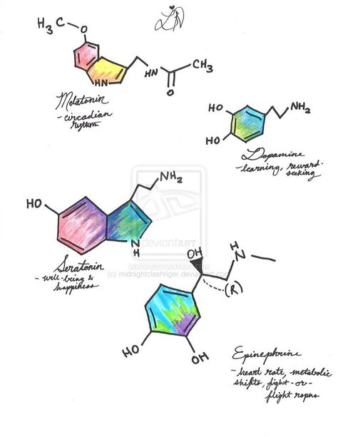 Neurotransmitters Tattoos And Piercings, Google Search, Tattoos