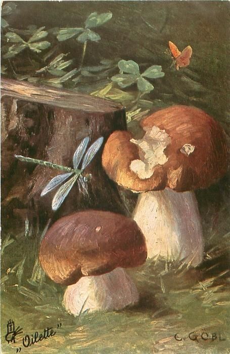 Arte Peculiar, Small Butterfly, Arte Inspo, Arte Sketchbook, Fairytale Art, Mushroom Art, Vintage Poster Art, Ethereal Art, Dragonflies