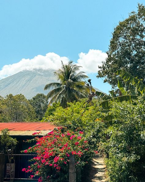 A double volcano island inside a lake 😳 🌋🗻🌴 Ometepe, Nicaragua When I heard about this place, it went straight to the top of my must visit list for Central America & here’s why it should for you too! 🌴 The island is covered in stunning jungles 🌴 You have a constant backdrop of two incredible volcanoes 🌴 It doesn’t feel touristic at all - you can take your time and explore the local communities 🌴 There are gorgeous beaches to relax and take in the volcanic sunset 🌅 The best way to en... Travelling Central America, Costa Rica Volcano, Nicaragua Volcano, Ometepe Island Nicaragua, Beach Photo Inspiration, Ometepe, Indigenous Nicaragua, Latin America, Nicaragua