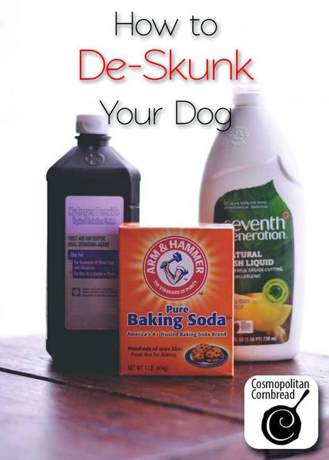 How to De-Skunk Your Dog - A Good Life Farm Dog Skunk, Getting Rid Of Skunks, Cosmopolitan Cornbread, Skunk Spray, Skunk Smell, Dog Soap, Soda Brands, Dawn Dish Soap, Dog Health Care