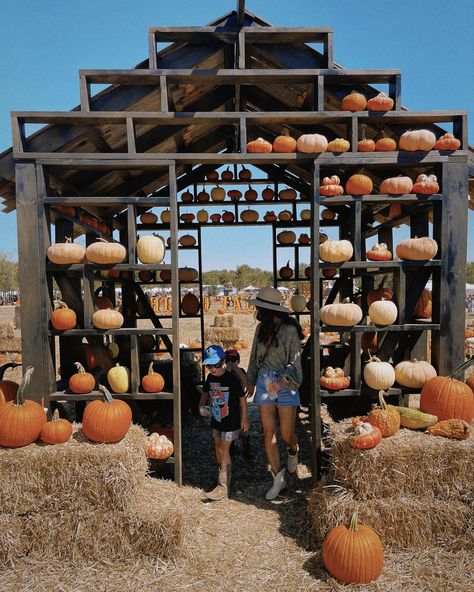 📍 @uhlandfallfest �🚂 Barrel Train 🐮 Petting Zoo 🌽 Corn Pit 🌀 Hay Bale Maze ⛰️ Hay Bale Mtn 🛍️ Food & Shop Vendors 🎸 Live music 🍹 VIP area 📸 & so many photo ops + pumpkin patch of course! Same fall festival we knew and loved in Drip just moved down the road to Kyle and bigger! #texasfall #texaspumpkinpatch #fallfestival #texas #texashillcountry Hay Bale Maze, Barrel Train, Pumpkin Festival, Petting Zoo, Hay Bales, Halloween 2024, Texas Hill Country, Food Shop, Fall Festival