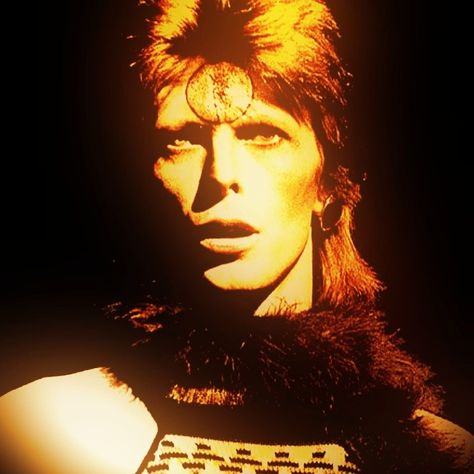 David Bowie Widget, David Bowie Icon, David Bowie Album Covers, Apartment Pictures, David Bowie Pictures, David Bowie Labyrinth, Moonage Daydream, Bowie Starman, David Bowie Ziggy