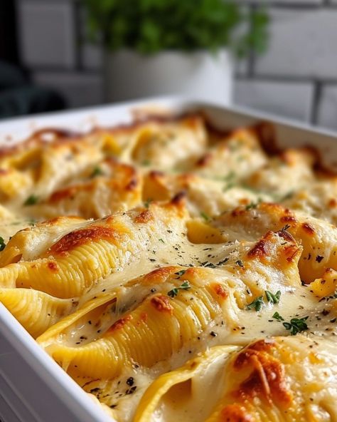 Made this for dinner tonight and the hubby went for 2 extra servings! Elegant Casserole Recipes, Italian Casserole Recipes For Dinner, Italian Casserole Recipes, Pasta Potluck, Casserole Recipes For Dinner, Chicken Alfredo Stuffed Shells, Italian Casserole, Green Salad Dressing, Easy Casserole Dishes