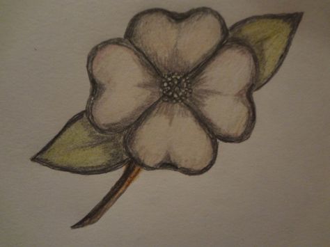 This is one of the easiest flowers to draw.  Simply start with an X.       From the edge of one line start rounding out the top of the pedal.  You will want to make the round edge drop in the middle.  It will look almost like a heart.        After... Running Drawing, Dogwood Flower, Flower Drawings, Drawing Tutorials For Beginners, Dogwood Flowers, Butterfly Drawing, Plant Drawing, Learn How To Draw, Art Drawings For Kids