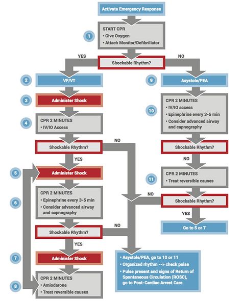 PALS pediatric cardiac arrest algorithm Newborn Resuscitation, Cardiac Meds, Pals Algorithm, Cardiac Nursing, Critical Care Nursing, Nurse Rock, Nursing School Tips, Nursing Tips, School Tips