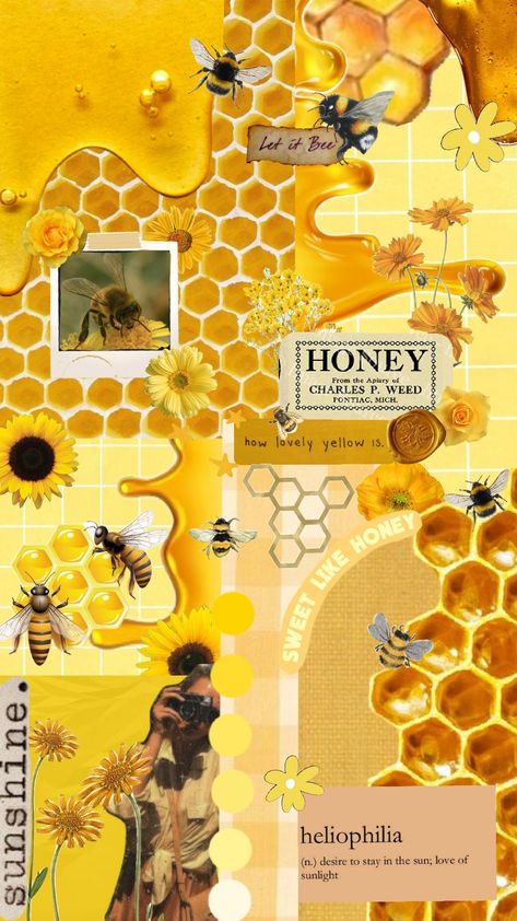 #Bees #Beeaesthetic #beehive #yellow #sun #yellowaesthetic #honey #honeyaesthetic #wallpaper #beekind #gold Honey Aesthetic Wallpaper, Yellow Bee Wallpaper, Barry Bee Benson, Honey Aesthetic, Bee Wallpaper, Yellow Bee, Sunflower Wallpaper, Yellow Sun, Yellow Aesthetic