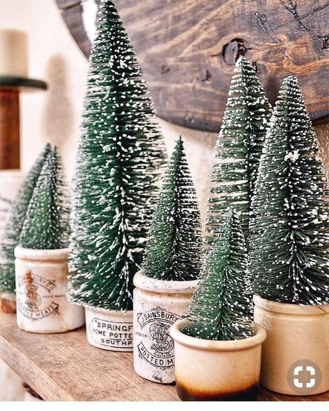 “Trees in Crocks” like socks & crocs, or socks & sandals, or socks &Birkenstock’s! I love trees in old crocks. @balancedchaoskc displays… Bottlebrush Trees, Koti Diy, Farmhouse Christmas Tree, Navidad Diy, Bottle Brush Trees, Farmhouse Christmas Decor, Noel Christmas, After Christmas, Merry Little Christmas