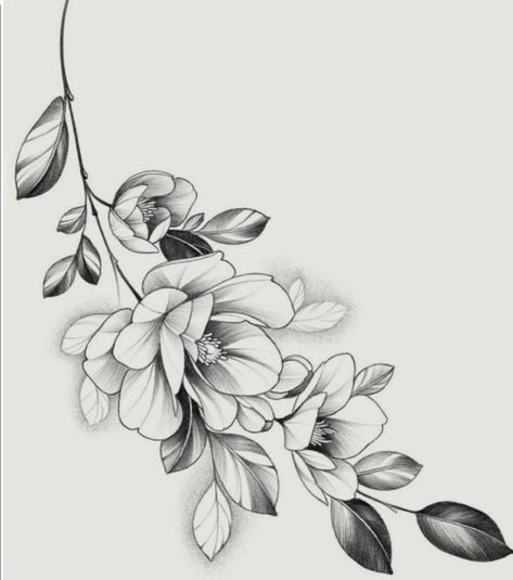 Gardenia Tattoo, Sketched Flowers, Flor Tattoo, Flower Shoulder Tattoo, Magnolia Tattoo, Japanese Flower Tattoo, Family Tattoo Designs, Flower Tattoo Drawings, Boho Tattoos