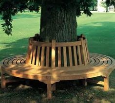 Garden Diy Furniture, Tree Seat, Front Yard Decor, Sloped Garden, Dekor Diy, Diy Garden Furniture, Tropical Landscaping, Modern Seating, Easy Garden