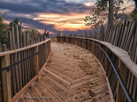 Presque Isle Boardwalk, via Flickr. Presque Isle State Park, Erie Pennsylvania, Long Weekend Trips, Pennsylvania Travel, East Coast Road Trip, Presque Isle, Canada Road Trip, Erie Pa, Olympus Digital Camera