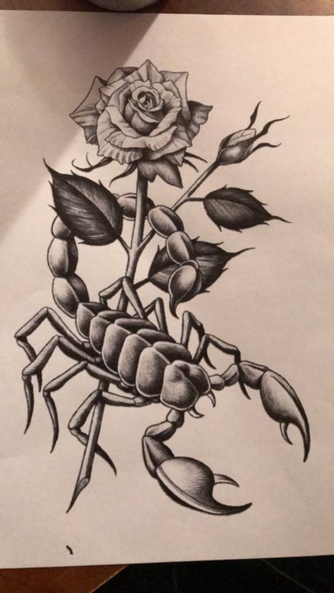 Scorpion Holding Rose Tattoo, Flower And Scorpion Tattoo, Tattoos For Scorpios, Scorpion Rose Tattoo, Scorpion Tattoo Drawing, Scorpio Drawing, Scorpion Tattoo Feminine, Scorpion Drawing, Scorpion Tattoo Design