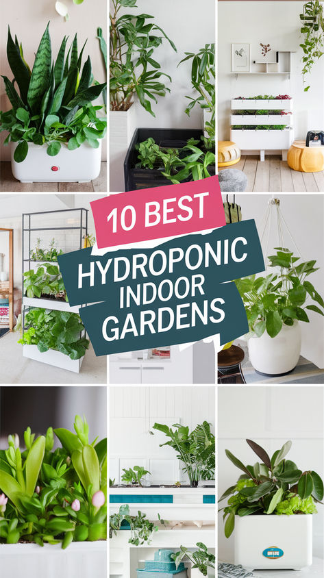 💡 Explore the top hydroponic indoor gardens for thriving plant growth at home. From compact systems to advanced setups, these picks help you cultivate healthy greens, herbs, and veggies indoors. 🌿 Transform your indoor gardening game with the best choices for optimal growth! 😊 Hydroponic Plants Indoor, Hydroponic Gardening Diy, Indoor Hydroponic Gardening, Hydroponic Vegetables, Healthy Greens, Hydroponic Systems, Plant Store, Hydroponic Farming, Hydroponics Diy