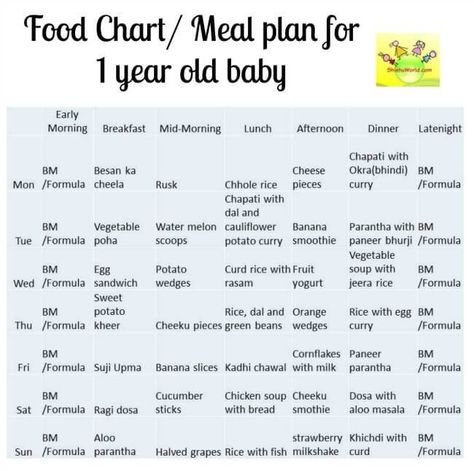 12 month Baby Food Chart, 1 year baby meal plan along with recipes suitable for 1 year old babies and points to remember. 1 Year Baby Food, 12 Month Baby Food, Baby Meal Plan, Recipes For Babies, Baby Food Chart, Recipe For 1, 1 Year Baby, Food Chart, Indian Baby