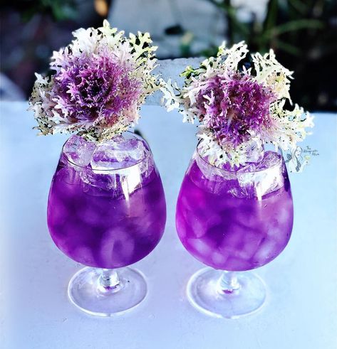 Its another Purple Loving Monday  . I loved this Purple Pineapple Jalapeño Margarita so much I made some more with: . Blanco Tequila infused with Jalapeño Cointreau Lime Juice Unsweetened Pineapple  juice Butterfly Pea Tea Garnish with kale flowers . Full recipe details are available on my website. . Glassware from @dstill_drinkware . Salud!  . . . . . . . . #margarita #margaritas #cocktail #cocktails #pineapple #kale #patron #mixology #thirsty #tea #cocktailporn #drinkoftheday #tequila #cocktai Purple Margarita Recipe, Kale Flowers, Purple Margarita, Purple Flower Names, Purple Pineapple, Beverage Cart, Rose Sangria, Purple Drinks, Rainbow Bar