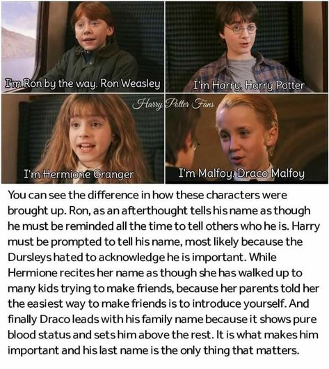 Harry Potter Spells List, Harry Potter Print, Funny Harry Potter Jokes, Harry Potter Puns, Harry Potter Tumblr, Potter Facts, Harry Potter Headcannons, Harry Potter Collection, Harry Potter Facts