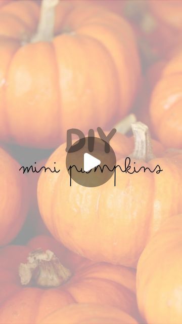 Pumpkin Preschool, Crafts For Families, Pumpkins Preschool, Fall Preschool, Toilet Paper Rolls, Autumn Crafts, Preschool Theme, Pumpkin Crafts, Mini Pumpkins