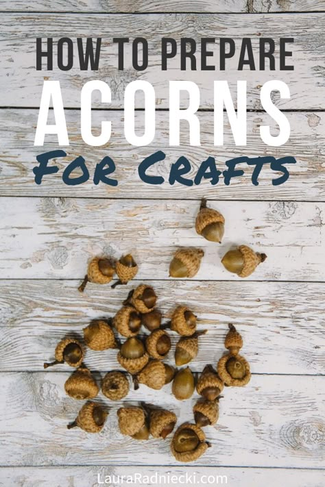 Want to try acorn crafts? Here's how to dry and preserve acorns for crafts or decorating using vinegar, water, and baking them in the oven! You can clean acorns you collect from the ground and prepare them to use in all of your craft projects! #acorns #crafts #acorncrafts #lauraradniecki How To Clean Acorns For Crafts, How To Use Acorns, Preserving Acorns For Crafts, Acorn Hat Crafts, Preparing Acorns For Crafts, How To Dry Acorns For Crafts, Acorn Wreaths Fall Crafts, Acorn Fall Craft, Acorn Arts And Crafts