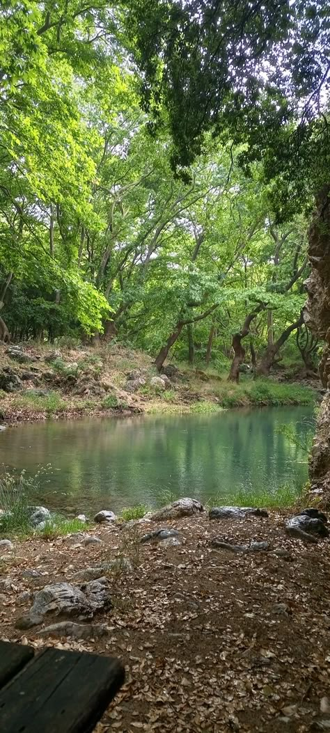 #naturalbeauty #forest #lake #shadesofgreen Beautiful Ponds Lakes, Forest Lake Aesthetic, Lake In A Forest, Lake Core, Lake Aesthetics, Forest And Lake, Forest Pond, Lost Forest, Lake Landscaping