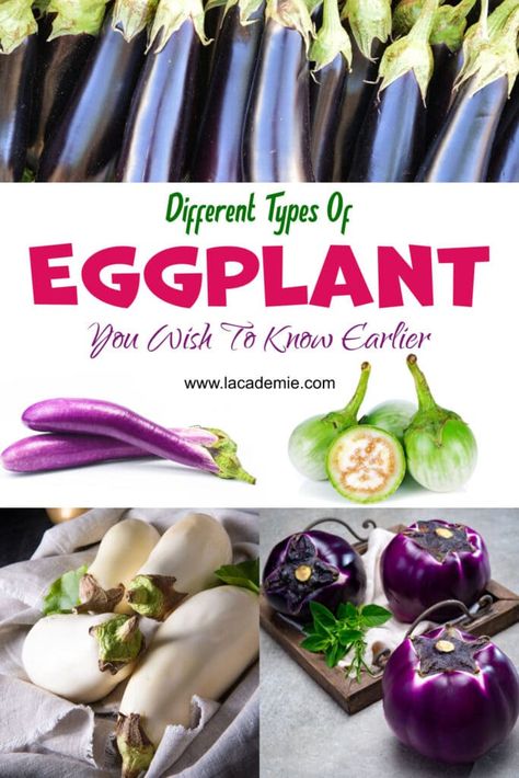 Different Types Of Eggplant, Green Eggplant Recipes, White Eggplant Recipes, Home Made Ranch Dressing, Home Made Ranch, Window For Kitchen, Chinese Eggplant Recipes, Growing Eggplant, Eggplant Varieties