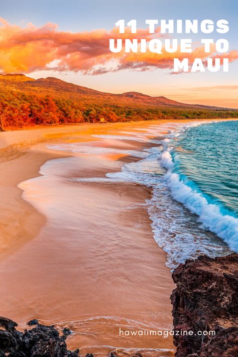 unique things to do on maui Hawaii Magazine, Haleakala National Park, Hawaii Maui, Hawaiian Vacation, How To Grow Taller, Place Of Worship, Hawaiian Islands, Maui Hawaii, Natural Phenomena