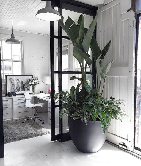 Get inspired by these amazing designs! http://vintageindustrialstyle.com/ #vintageindustrialstyle #vintagehomedecor #vintagedecor #vintagestyle Extra Large Outdoor Planters, Large Outdoor Planters, Potted Plants Outdoor, Outdoor Pots, Interior Plants, Office Plants, House Plants Decor, House Plants Indoor, Outdoor Planters