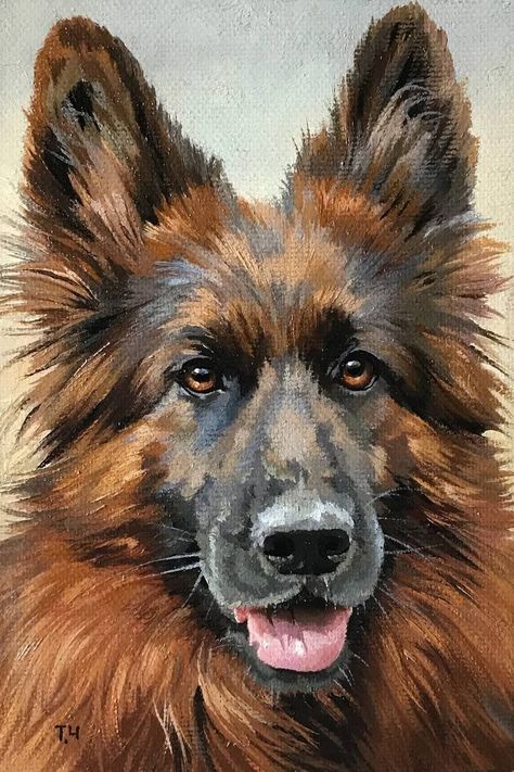 Miniature German Shepherd  😻Interested in getting a portrait of your beloved pet?  ⬆️Check out the offer on the website above⬆️ #Pets #PetArt #PetPortrait Painting Of Dogs On Canvas, Miniature German Shepherd, German Shepherd Painting, Puppy Painting, Dogs Painting, Cowl Patterns, Pet Portrait Paintings, Dog Portraits Painting, Grey House