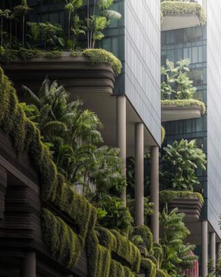 Tropical Modernism, Park Royal, Front Facade, Brutalism Architecture, Building Costs, Dark Green Aesthetic, Green Architecture, Royal Hotel, Sky Garden